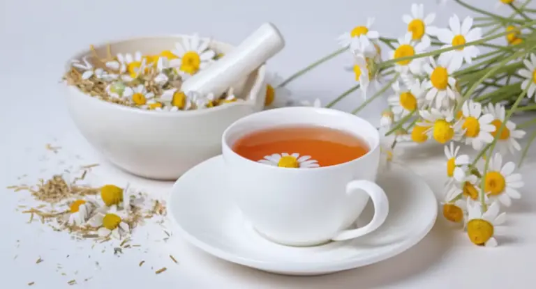 Tazza di tisana alla camomilla accanto a fiori freschi e ingredienti secchi